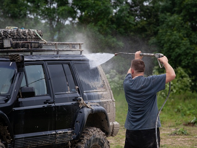 Lavage auto professionnel